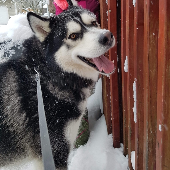 Meet your Posher, - Picture 1 of 4